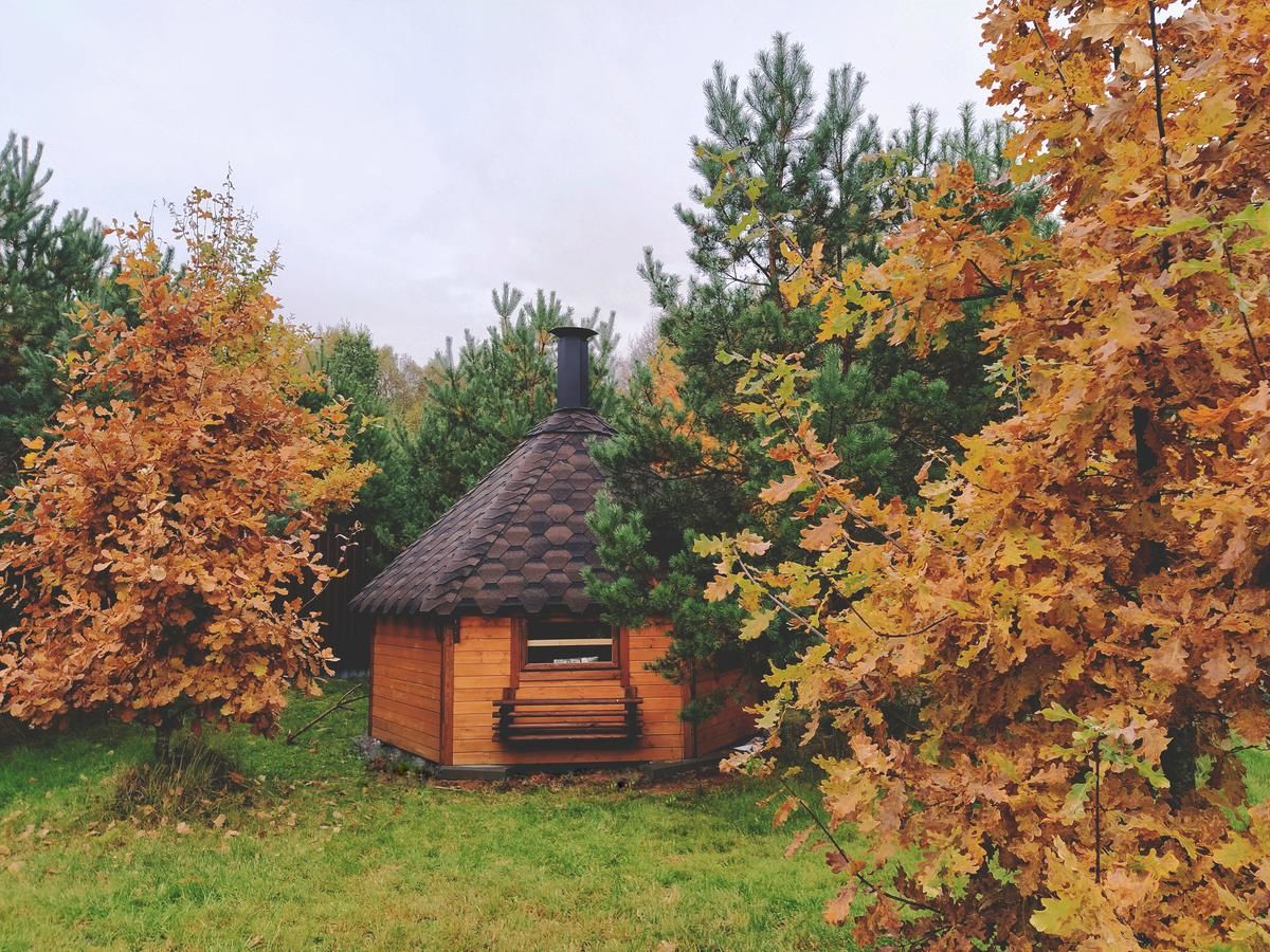 Загородные дома Дом с камином в лесу Pogorelka-34