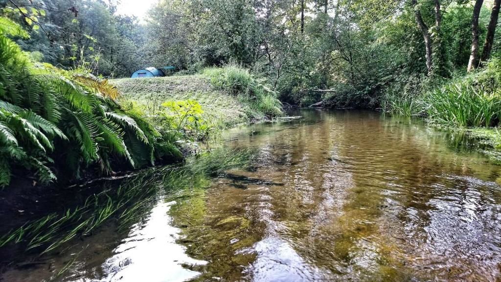 Загородные дома Дом с камином в лесу Pogorelka